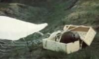 The 'parachuting beaver' campaign was unexpectedly successful 70 years ago