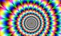 The phenomenon of optical illusion appears in some animals