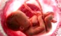 The process of forming a person from conception to birth
