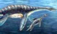 The prospect of the ocean returning to ancient times in 2100