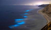 The rare sight is overwhelming on the California coast