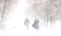 The reaction of the human body in freezing temperatures