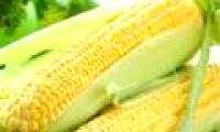 The reason for eating corn is healthy