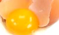 The reason for not eating raw chicken eggs