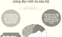 The relationship between literacy and the brain