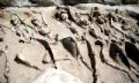 The remains of the iron-clad army of the ancient Greek island army