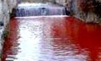 The river of blood appeared after a night