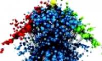 The role of H2O in development and evolution
