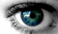 The role of vitamin c in the eyes and brain