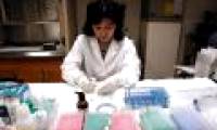 The role of women in science is increasing
