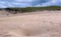 The sand pit