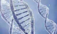 The Scary Truth About Inbreeding: The Curse of Genes, Nature's Last Line of Defense!