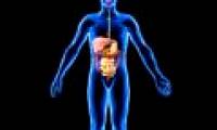 The second human genome