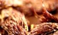 The secret in mummy cloths of ancient Egyptians