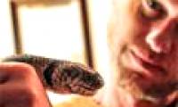The secret of 'immune' people with poisonous snake venom