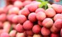 The secret to buying delicious lychee