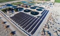The secret to helping Israel raise fish in the desert