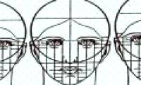 The shape of the face reveals each person's sexual needs