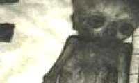 The shocking mysteries make scientists headaches
