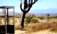 The shocking truth about the desert is hard to believe