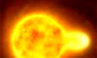 The star is brighter than the Sun.