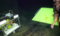 The story of the crab and the seismometer on the ocean floor