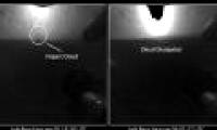 The strange cloud on Mars is sent by Curiosity