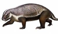 The strange shape of a 66 million year old 'crazy beast'