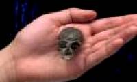 The strange skull of ancient apes reveals the secret of how the primates' brains grow