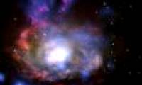 The supernova of the wild cousin of SN 1987A