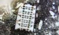 The suspect is a 250 million year old microchip in Russia