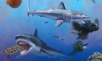 The terrifying sea monster is 10 meters long and has teeth enough to crush sea turtles