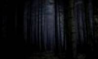 The theory of 'Dark Forest' and why we still haven't found aliens