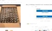 The toilet paper core is hot on eBay but what do people buy?