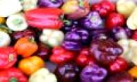 The truth that you didn't expect about the color of bell peppers