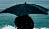 The type of umbrella can withstand winds of nearly 90km / h