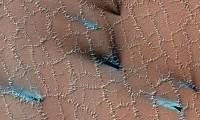 The Unbelievable Truth About Winter on Mars