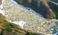 The unique 'polka-dot' lake is likened to Mars on Earth