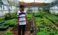 The unique vegetable irrigation system in Vietnam