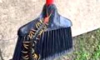 The United States fluttered because of the giant red-headed centipede