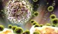 The United States has developed an anti-HIV vaccine