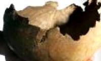 The use of prehistoric human skulls