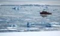 The warming climate affects the Antarctic food chain