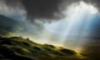 The whisper of nature