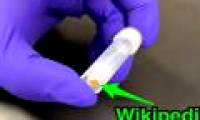 The whole 16GB of English Wikipedia is stored on DNA, which is in this test tube