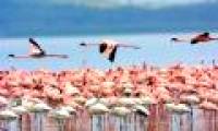 The world has 4 more natural heritages
