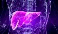 The world's fastest liver transplant