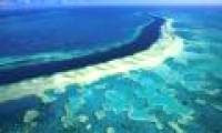 The world's largest coral reefs face the risk of permanent wiping