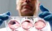 The world's most expensive artificial meat tastes great