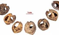 The world's oldest jewelry necklace is up to 150,000 years old